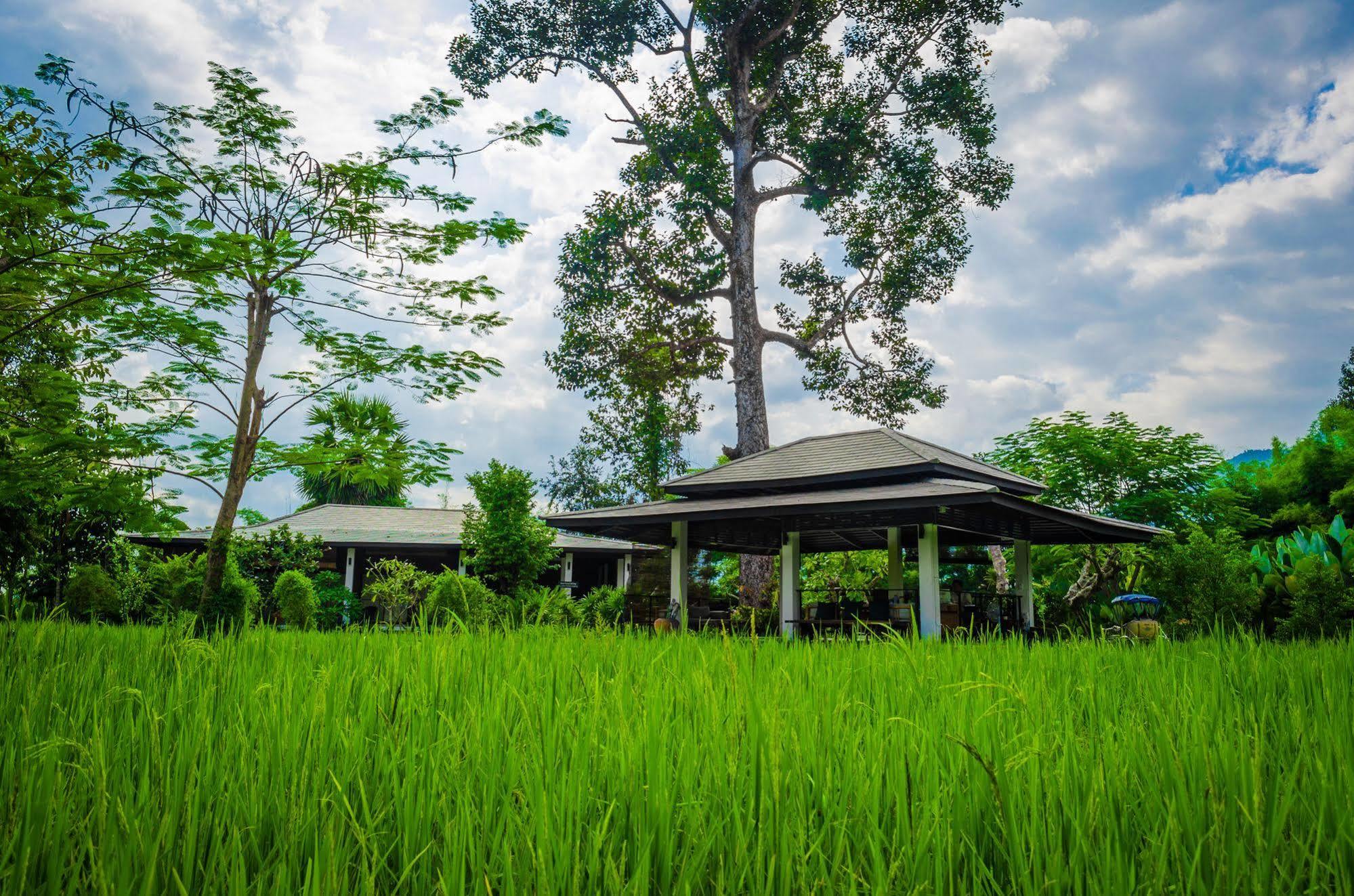 The River Resort Champasak Bagian luar foto
